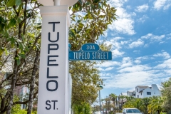 Tupelo Street-1